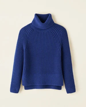 Cheap Roots Elora Turtleneck Sweater