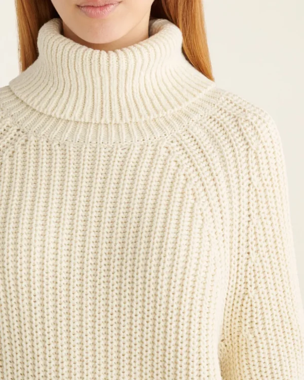 Cheap Roots Elora Turtleneck Sweater