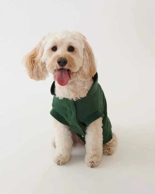 Best Roots Pooch Original Kanga Size 10-14 PARK GREEN