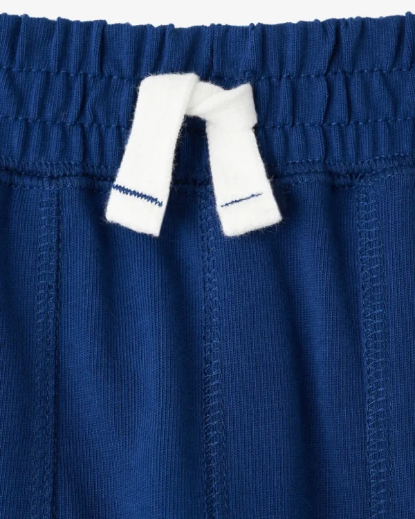 Flash Sale Roots Toddler Boys Park Short ESTATE BLUE